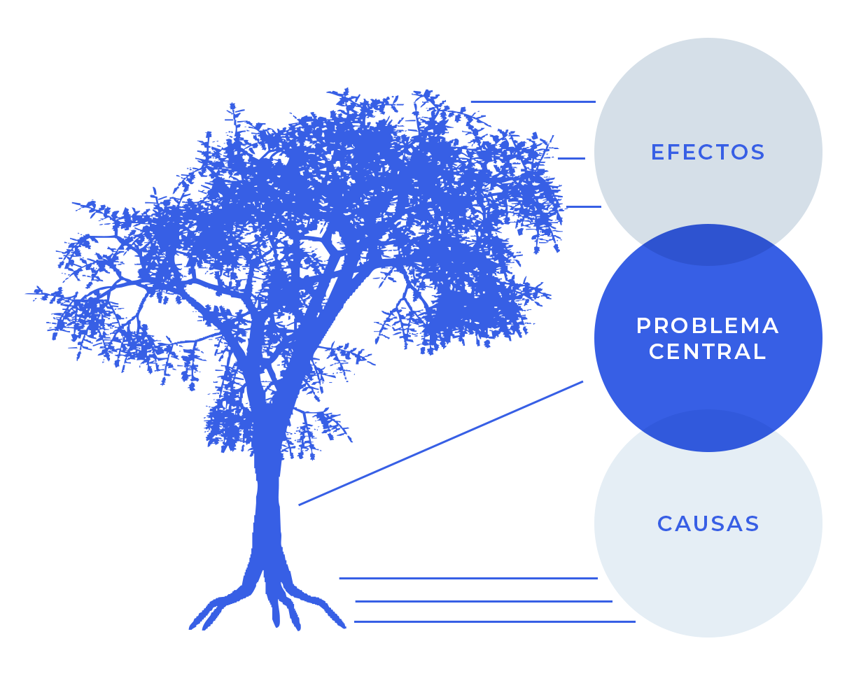 árbol de causas