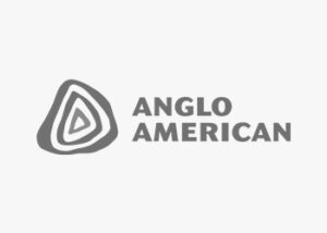 logo Anglo American ZYGHT software hse