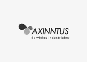 logo Axinntus ZYGHT software hse