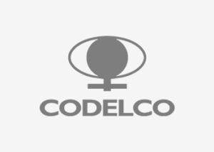 logo Codelco ZYGHT software hse