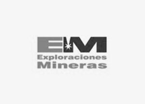 logo EM Exploraciones Mineras ZYGHT software hse