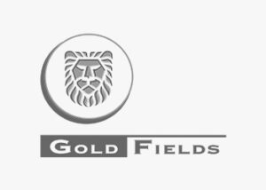 logo Gold Fields ZYGHT software hse