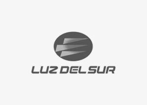 logo Luz del Sur ZYGHT software hse