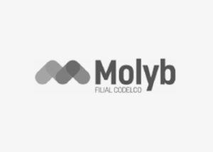 logo Molyb ZYGHT software hse