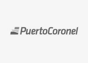 logo Puerto Coronel ZYGHT software hse