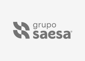 Grupo Saesa logo ZYGHT software hse