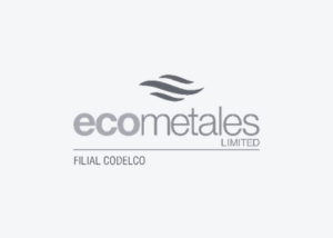 logo EcoMetales ZYGHT software hse