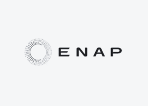 logo Enap ZYGHT software hse