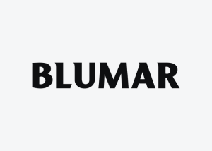 logo Blumar ZYGHT software hse
