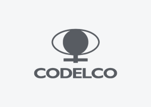 logo Codelco ZYGHT software hse