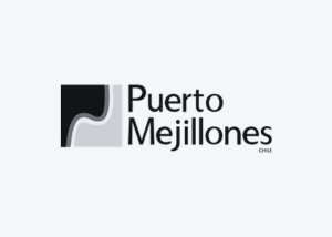 logo Puerto Mejillones ZYGHT software hse