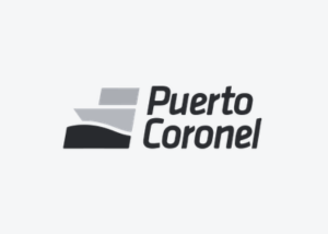 logo Puerto Coronel ZYGHT software hse
