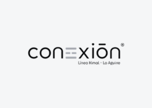 logo Conexión Energía Línea Kimal ZYGHT software hse