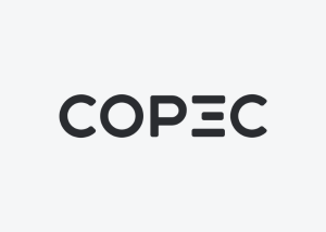 logo Copec ZYGHT software hse